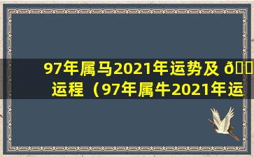 97年属马2021年运势及 🐠 运程（97年属牛2021年运势及运程每月运程）